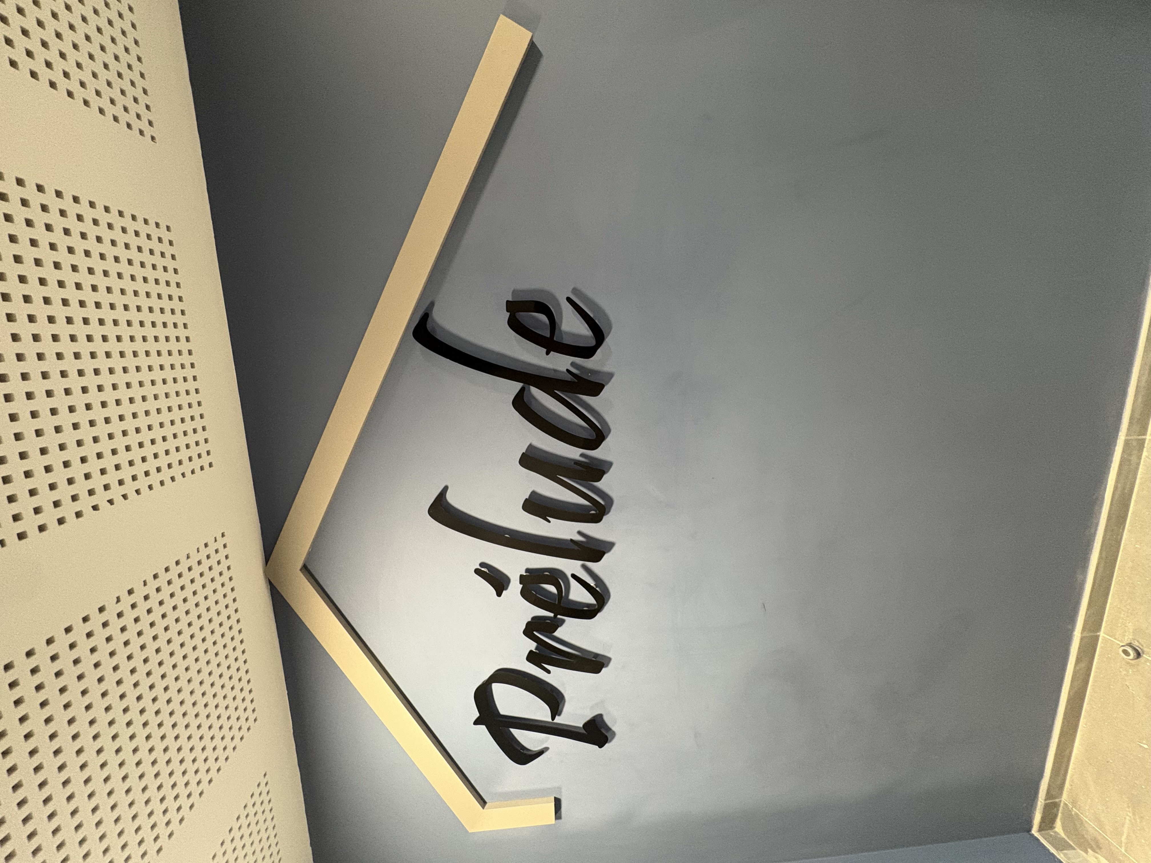 Enseignes lettres découpées